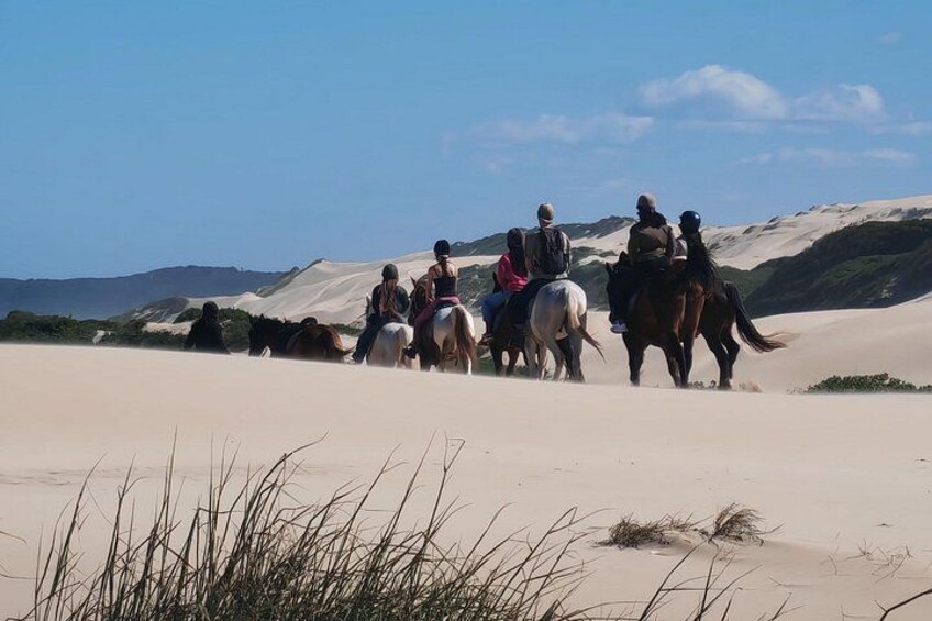Guided Port Elizabeth Coastal Tour 4