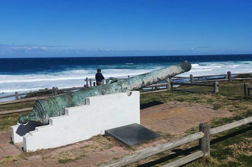 Guided Port Elizabeth Coastal Tour 5