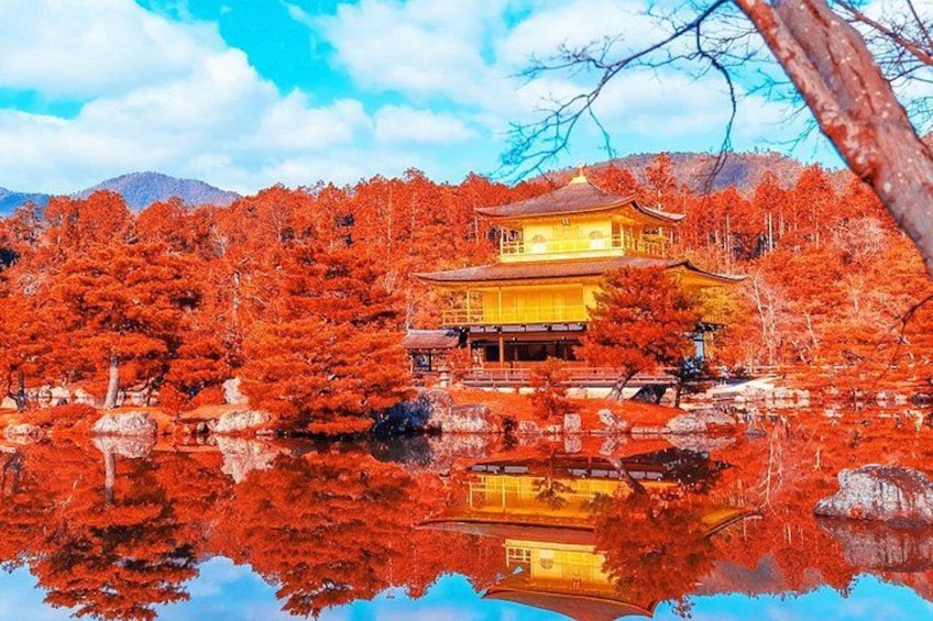 Kyoto Full day Tour Kinkakuji, Kiyomizu-dera and Fushimi Inari 3