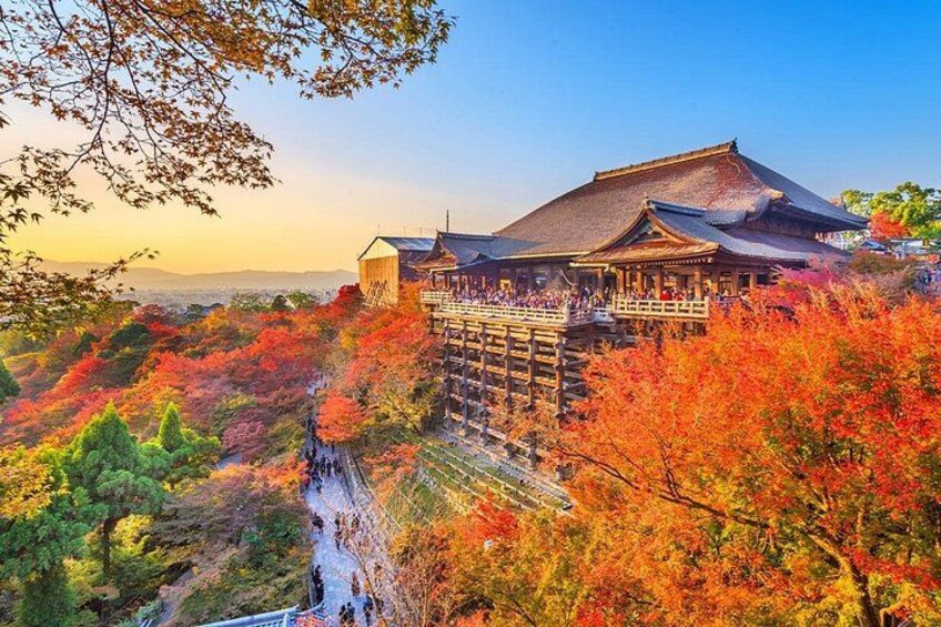 A traditional Japanese building with a wooden structure and a thatched roof, surrounded by autumn foliage. 5