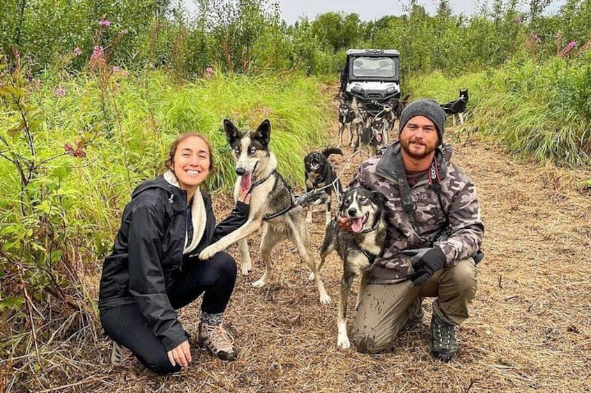 A person crouching next to a dog, another person standing with a dog, and a vehicle in the background. 1