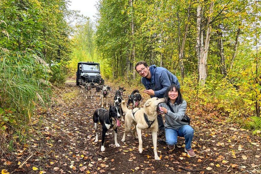 A group of people with dogs in a forested area with a vehicle in the background. 3