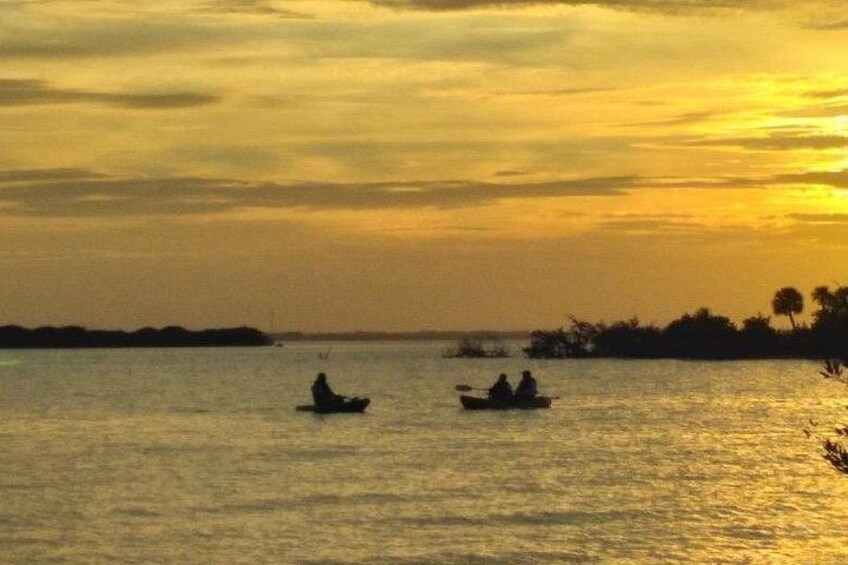 Clear Kayak Sunset Tour - Cocoa Beach 5
