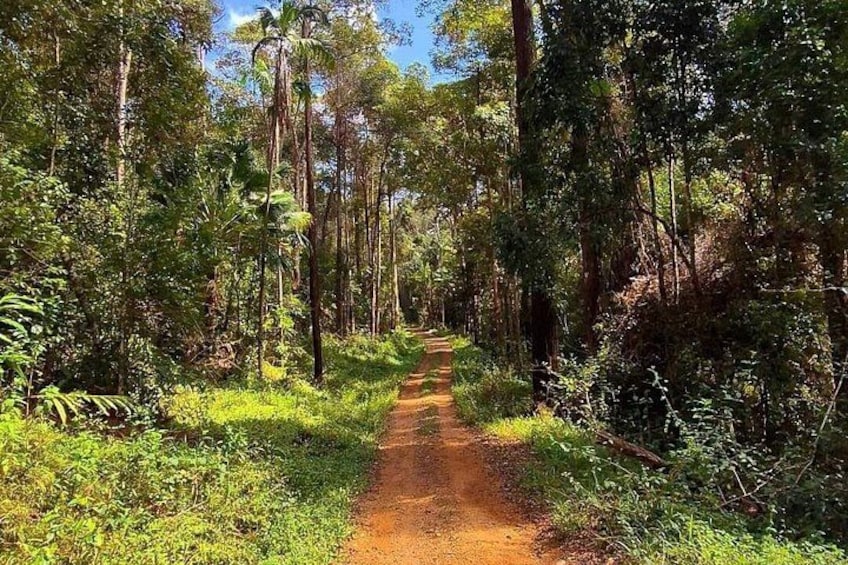 National Park trails 1