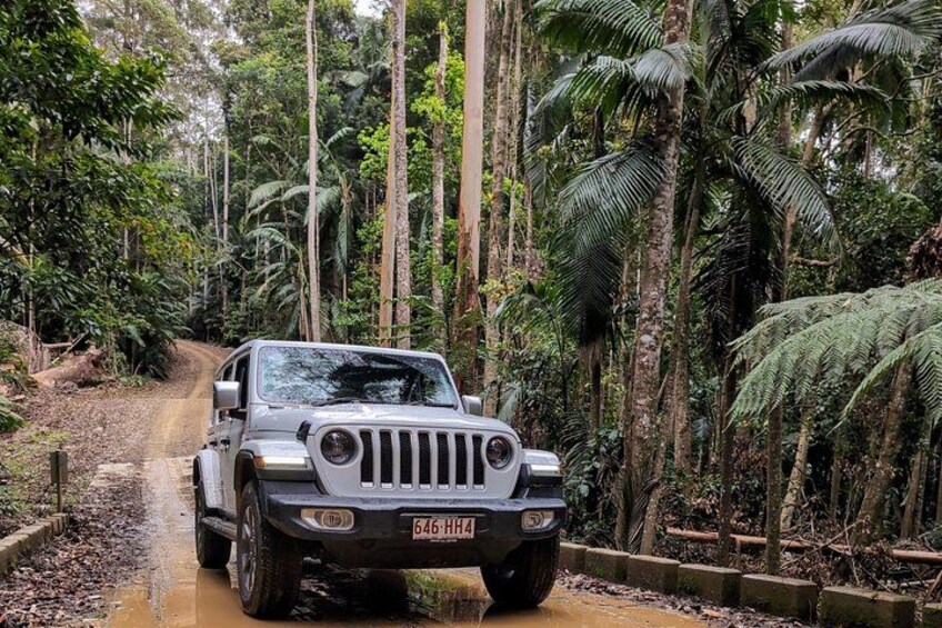 A white off-road vehicle on a muddy path surrounded by dense tropical vegetation. 1