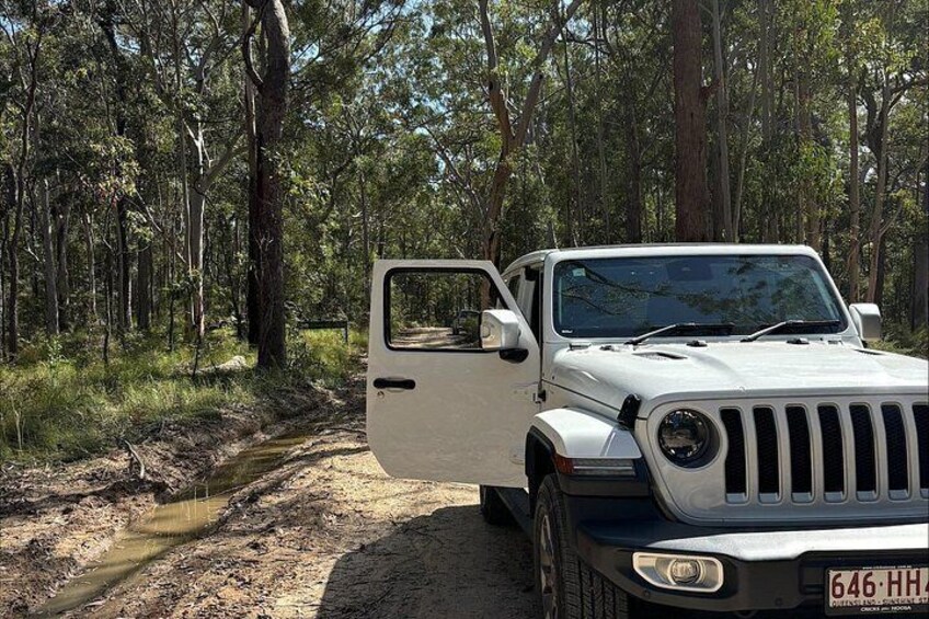 Sunny Jeeps tour 4