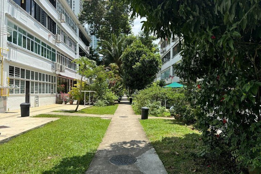 Tiong Bahru's Tastiest Treats Private Food Tour in Singapore 2