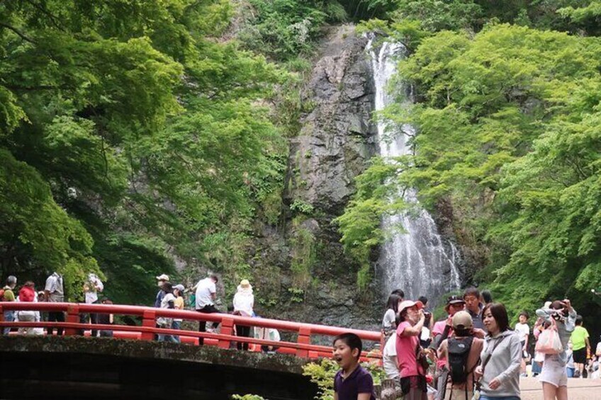 Minoo Waterfall 1