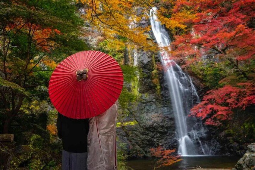 Katsuo-ji Temple x Minoo Falls x Arashiyama Bamboo Forest x Todai-ji Temple & Nara Park 5