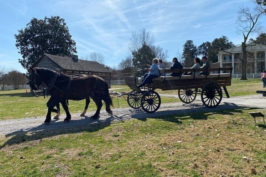 Private Andrew Jackson's Hermitage Tour 2