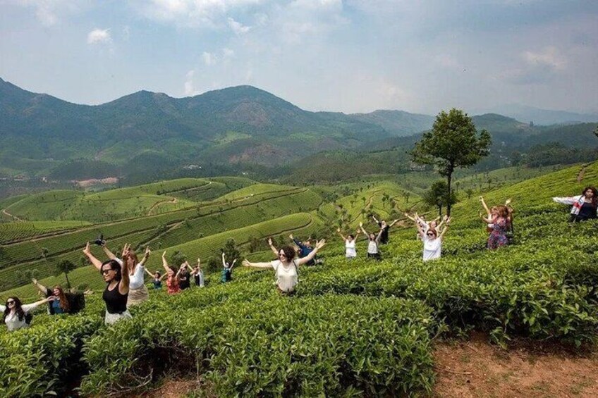 Munnar Tea Trail Tour , Tea factory visit & Tea Tasting 3