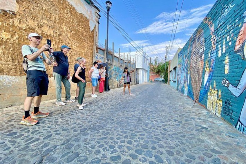 Street Art Tour With An Artist in Oaxaca 2