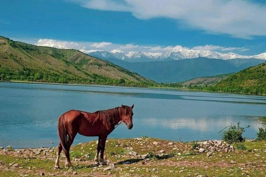 A horse near a lake with mountains in the background. 4