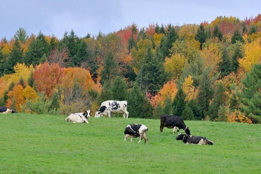 Self-Guided Audio Driving Tour of Vermont, RT100 Scenic Byway 3