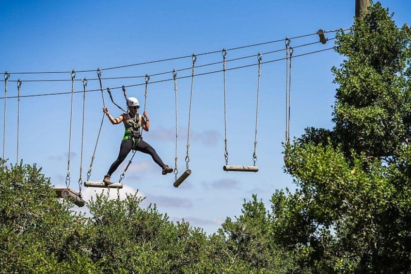 A person swinging across a series of ropes in an outdoor setting. 5