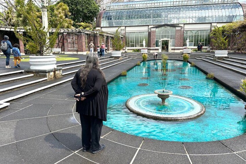 Auckland City Top Spots Half Day Private Tour 2