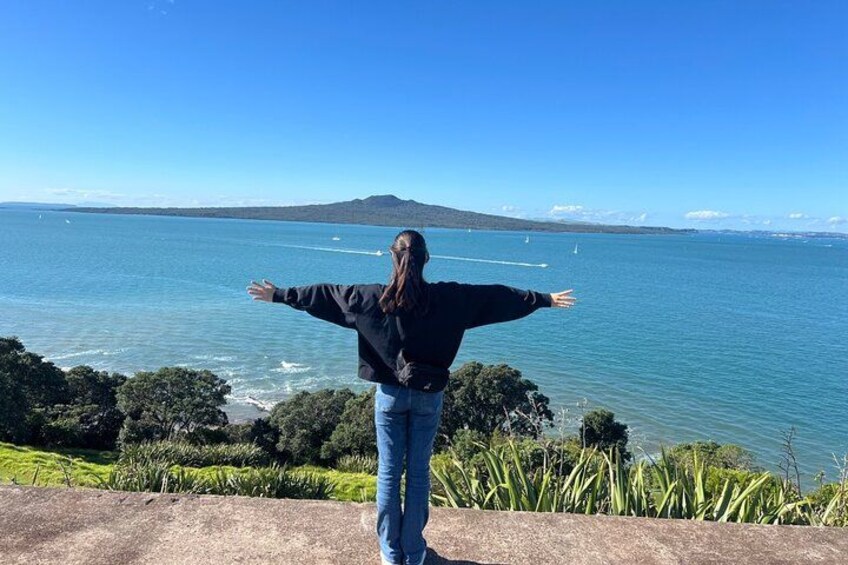 Auckland City Top Spots Half Day Private Tour 4