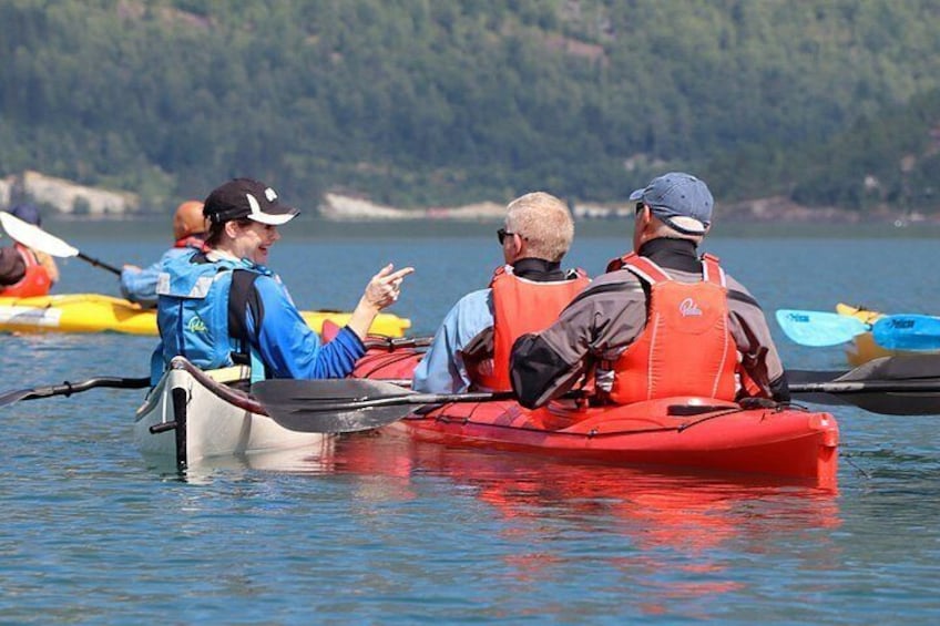 Olden: Easy Kayaking for Beginners on the Fjord 3