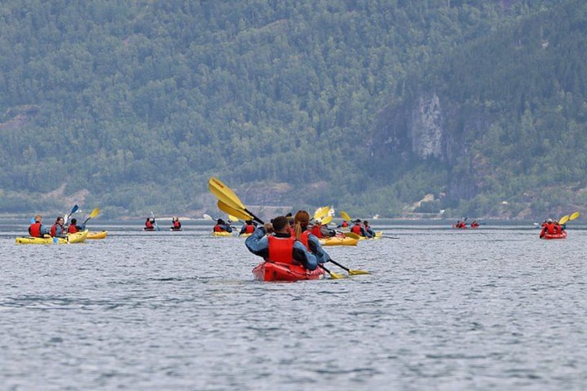 Olden: Easy Kayaking for Beginners on the Fjord 2
