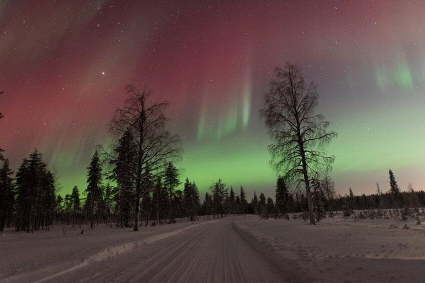 Paisaje nevado con una carretera, árboles y la aurora boreal. 2