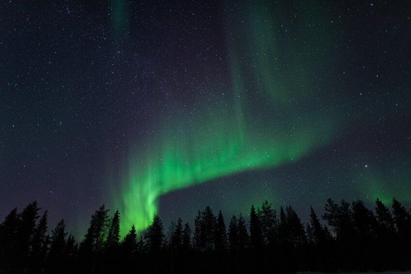 Auroras boreales sobre un bosque por la noche. 5