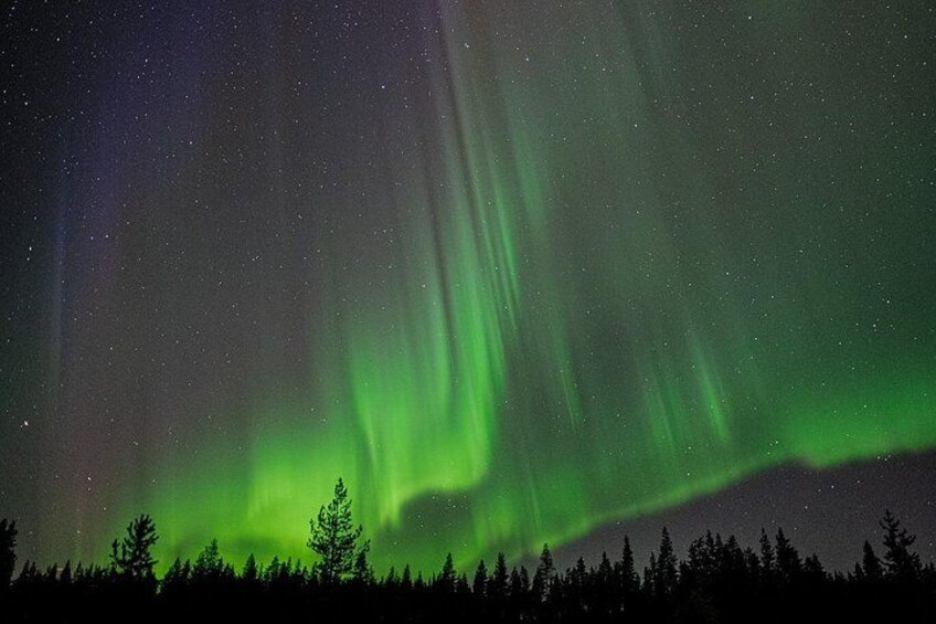 Auroras boreales sobre un paisaje boscoso. 3