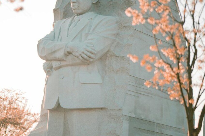 Washington DC's Monuments & US History Guided E-Cart Tour 2
