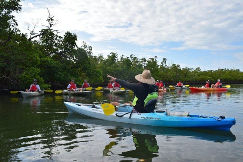 Personas haciendo kayak en un río tranquilo rodeado de abundante vegetación. 4