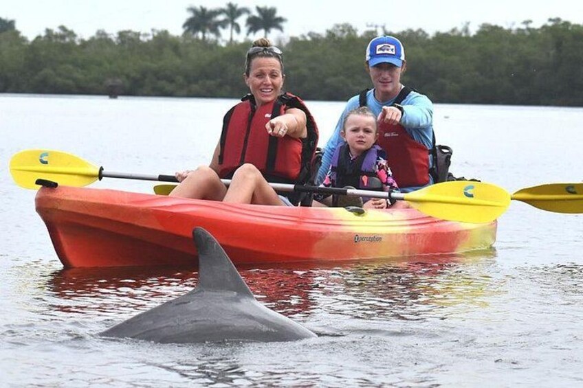 A red kayak with two adults and a child on a calm body of water, a dolphin swimming nearby, and a forested shoreline in the background. 1