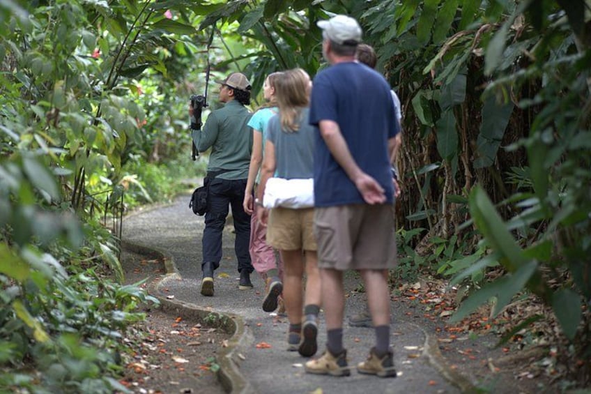 A group of people walking on a narrow path surrounded by dense foliage. 1