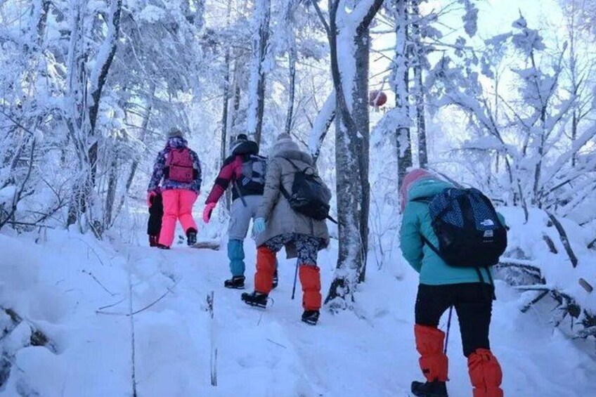 A group of people hiking in a snowy forest. 1