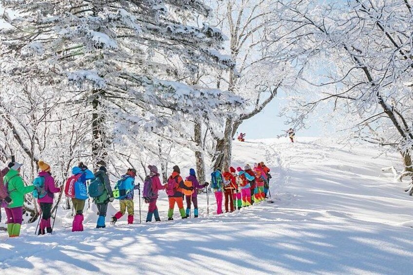 A group of people in colorful winter clothing walking on a snow-covered path. 1