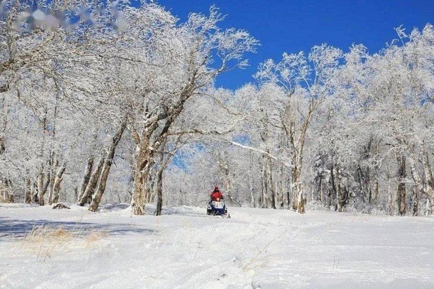 A snowy landscape with a person riding a snowmobile. 2