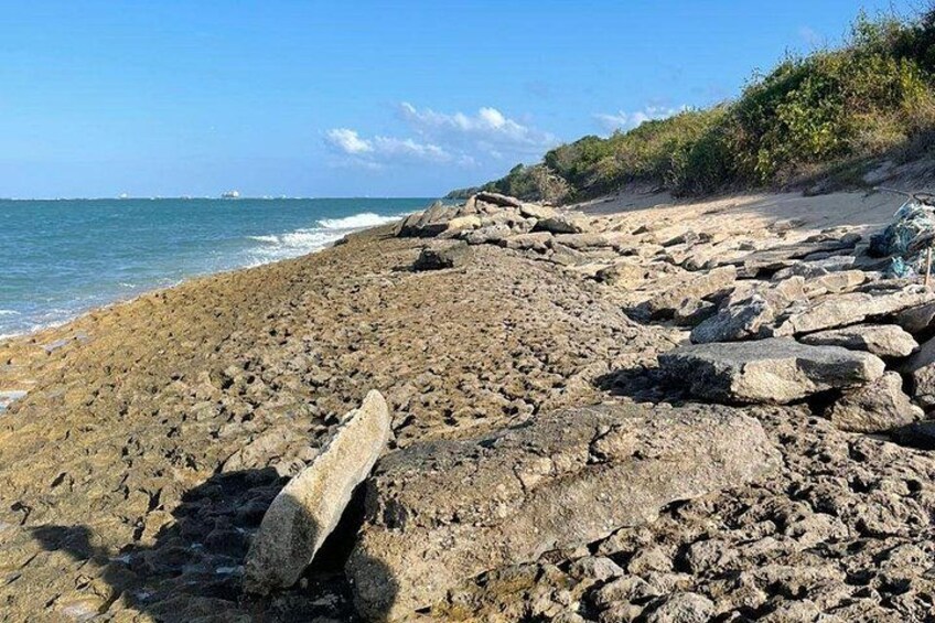 Bongoyo Island Full Day Tour from Dar Es Salaam 4