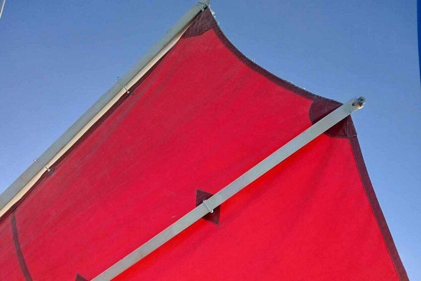 Light in the sails 4