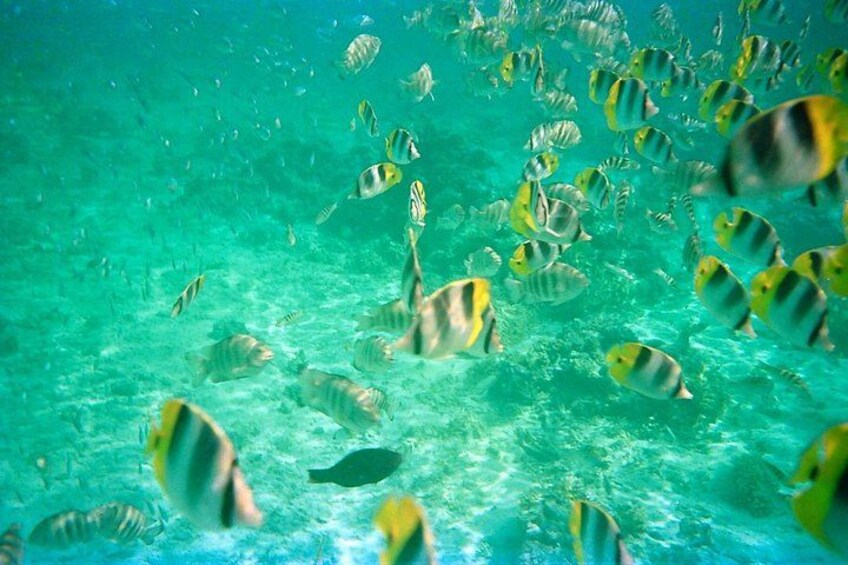 Dive into the heart of the lagoon 3