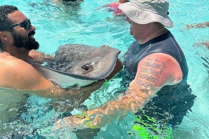 Swimming with Rays 3
