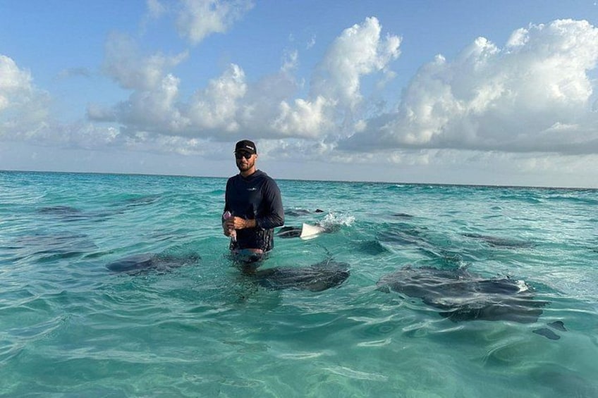 Stingray City 2
