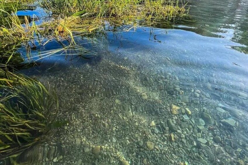 A clear water body with visible rocks and aquatic plants. 4