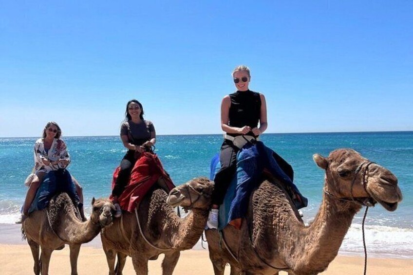 All inclusive Tangier Private day trip from Marbella or Malaga 3