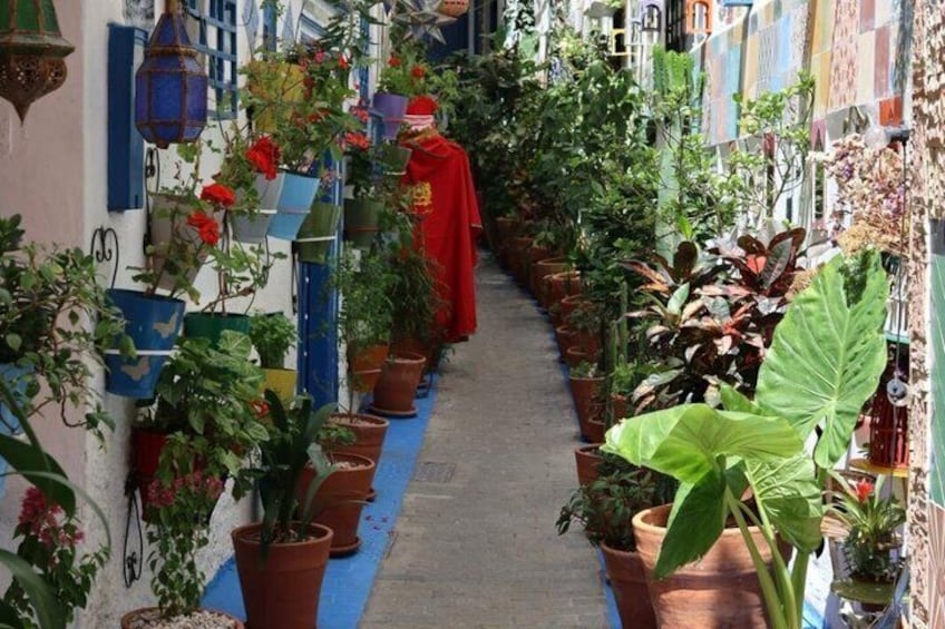 All inclusive Tangier Private day trip from Marbella or Malaga 3