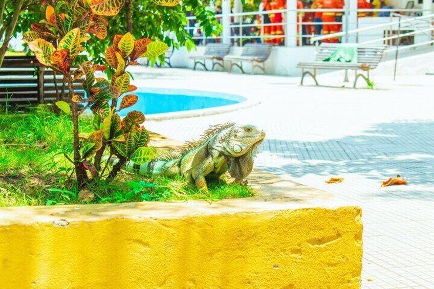 Getsemani Neighborhood Photo Walking Tour 2