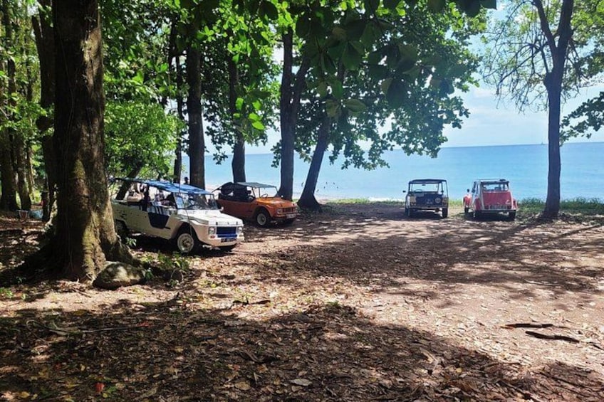 A forested area with a dirt path, several parked cars, and a body of water in the background. 5