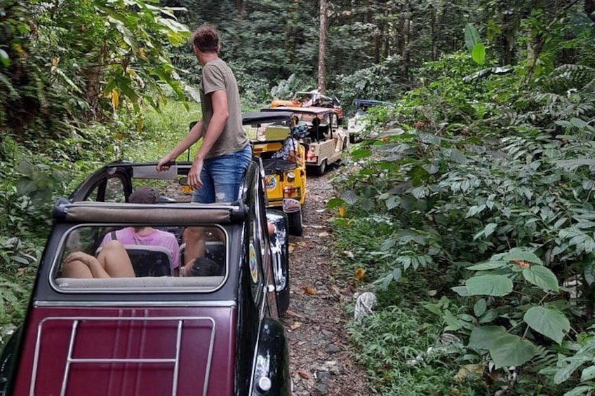 A vehicle with passengers on a forest trail. 3
