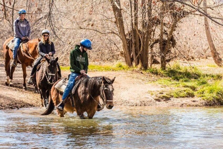 River Crossing Sedona Horseback Tours at Dead Horse Ranch State Park 3