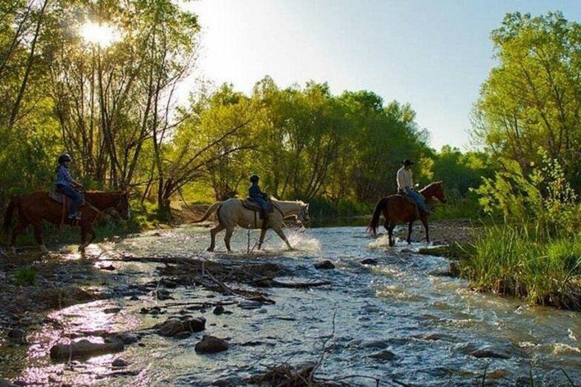 Child Enjoying a Scenic Horseback Adventure 2