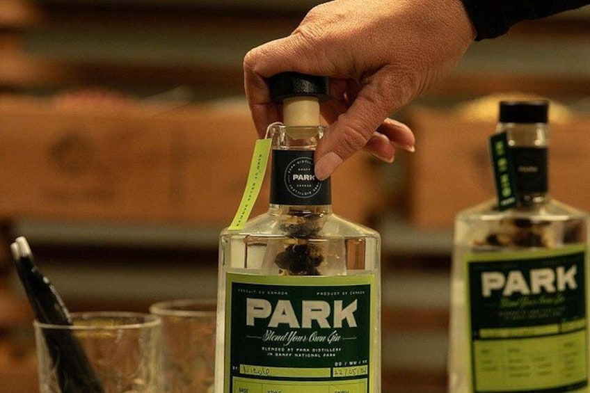 Blend Your Own Gin Experience in Banff 1