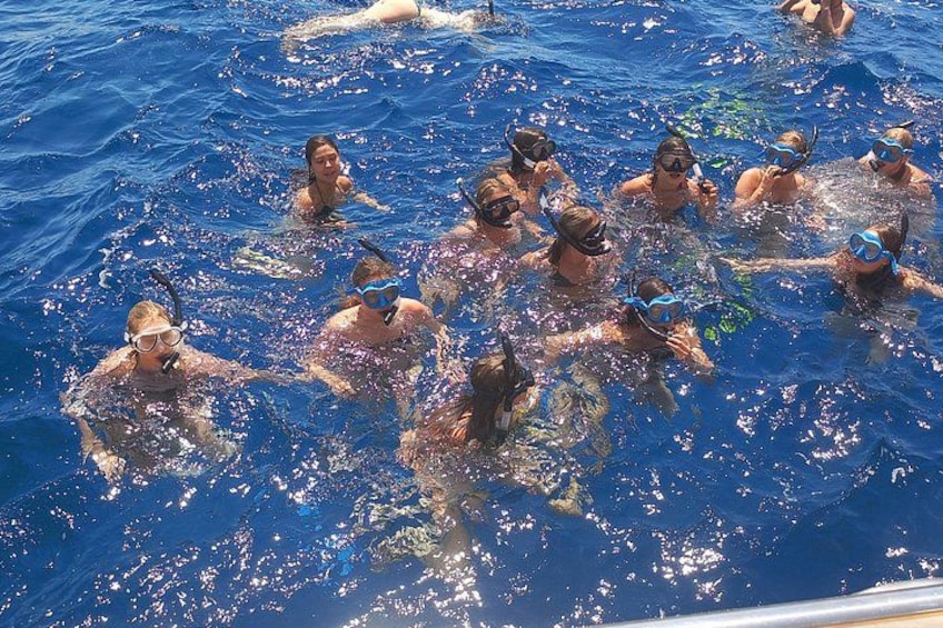 Yellow Semi Submarine Mini Cruise with a Swim Stop 2