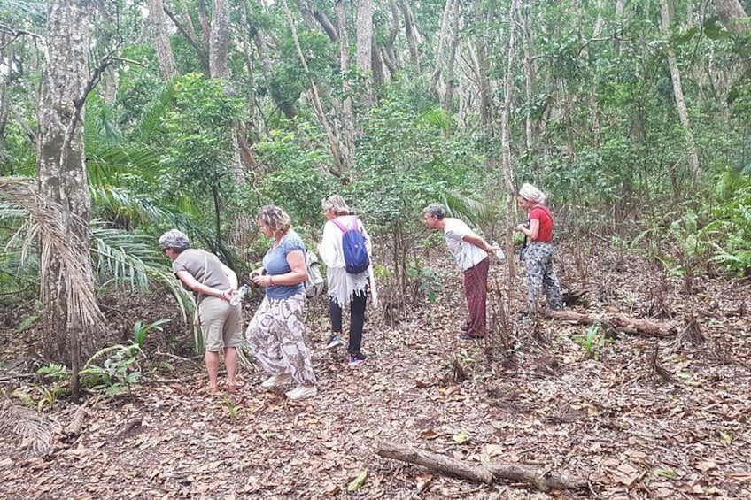 A group of people in a forested area, some bending down, possibly collecting samples or observing the ground. 4