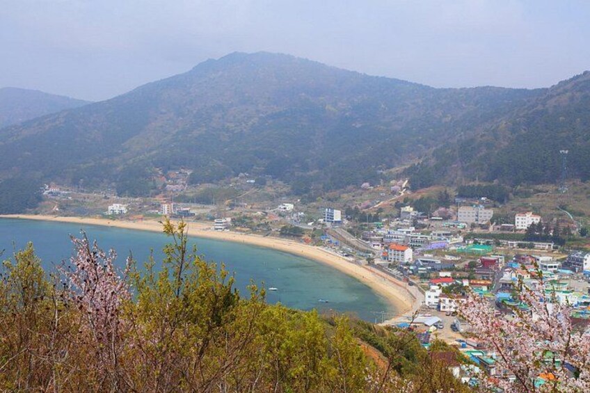 Une ville côtière dotée d’une plage, de montagnes et de cerisiers en fleurs. 5